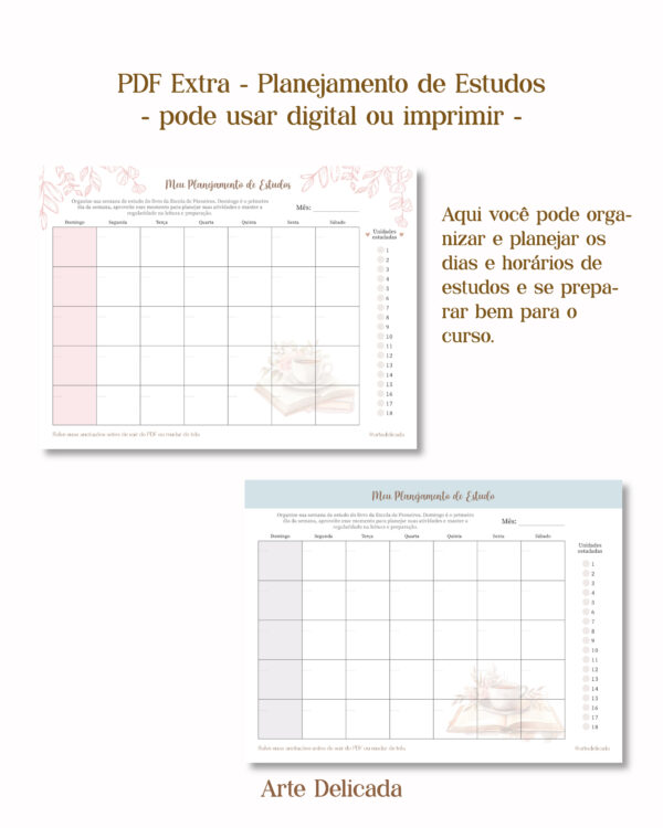 PDF Interativo Escola de Pioneiro - Imagem 4
