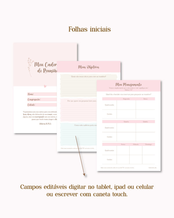 PDF Interativo - Anotações de Reunião - Imagem 2